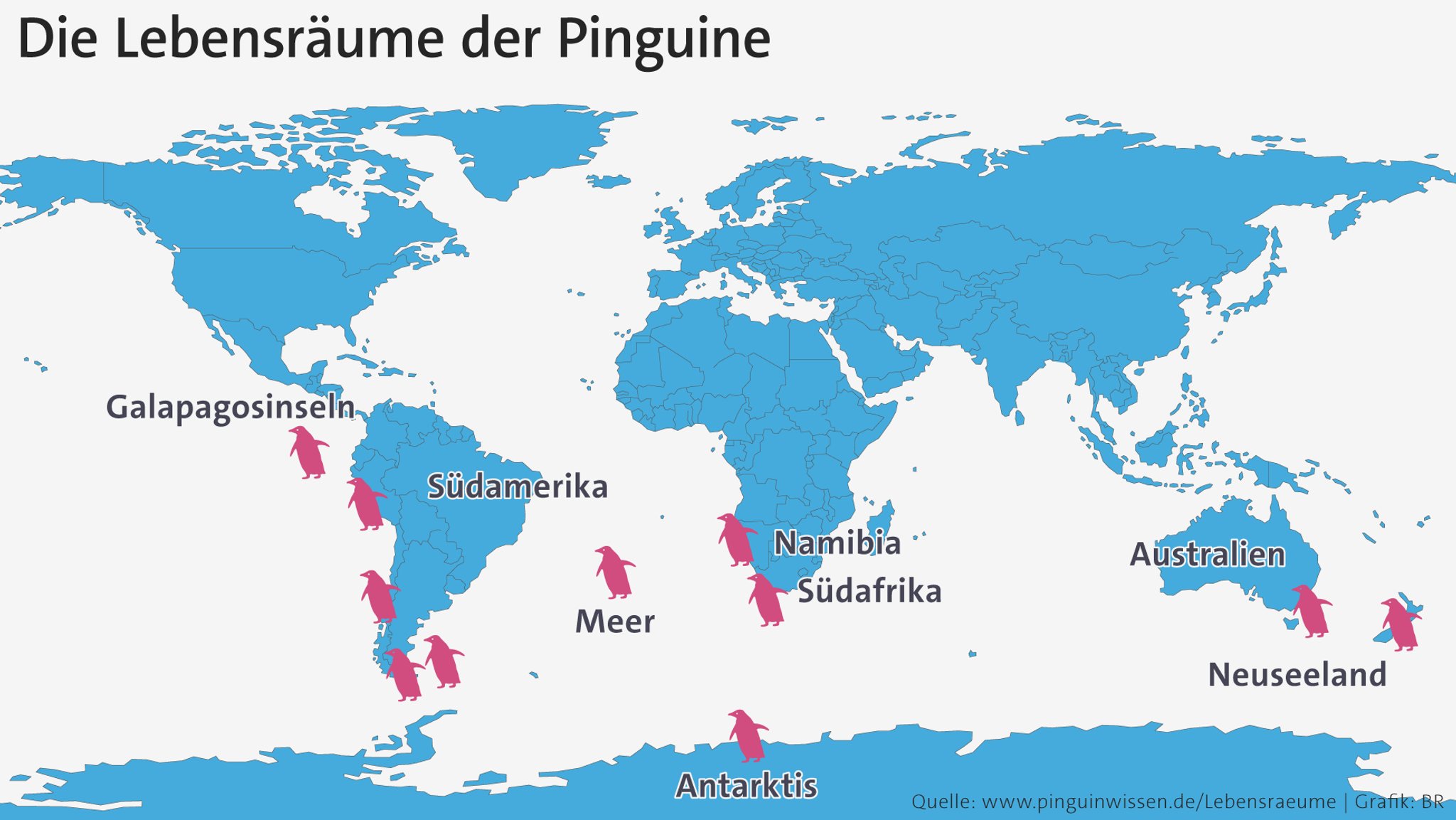 Karte der Lebensräume der Pinguine auf der südlichen Halbkugel. 