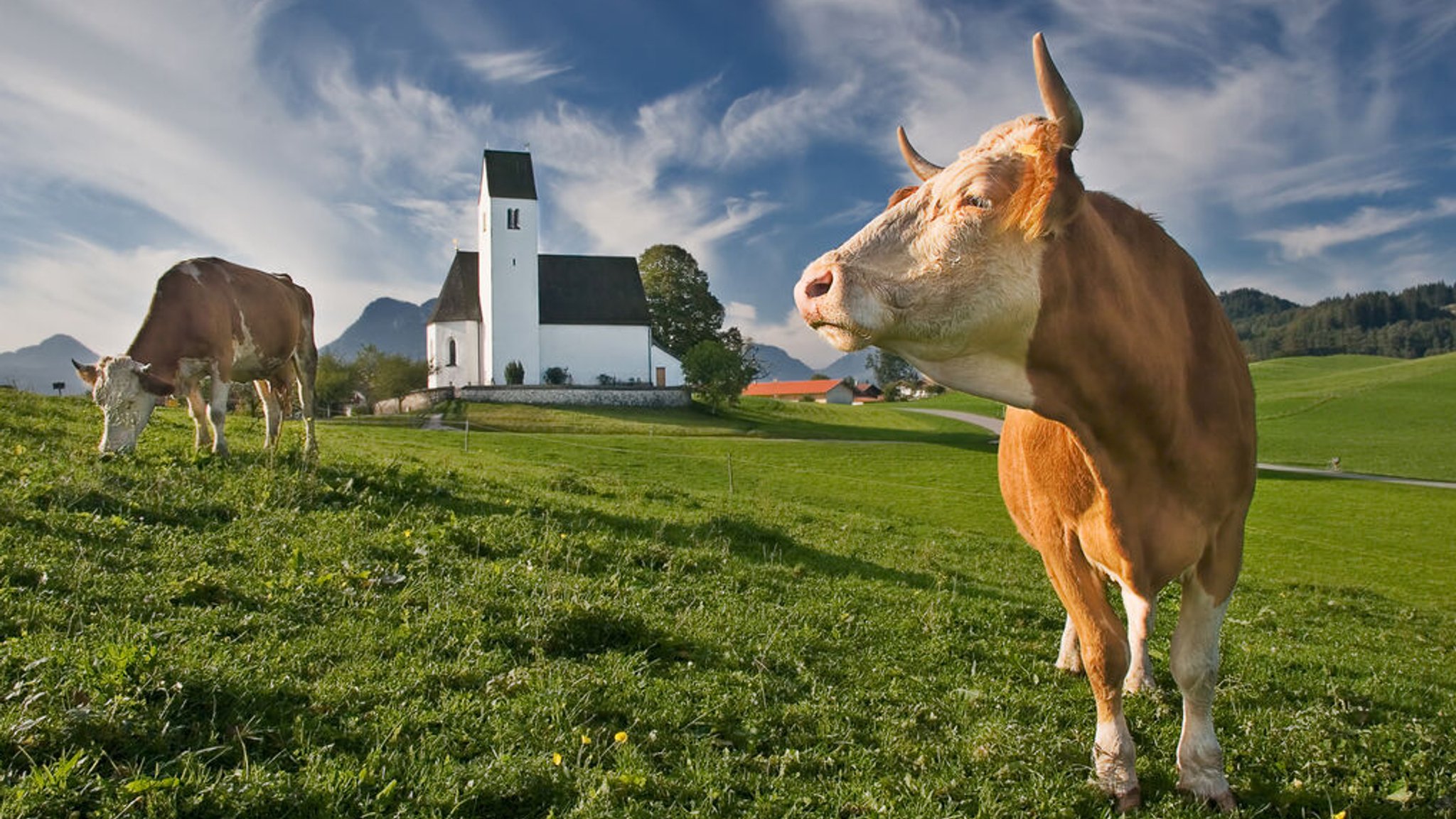 Streit um Ökolandbau: Kirche und Bauern nähern sich an