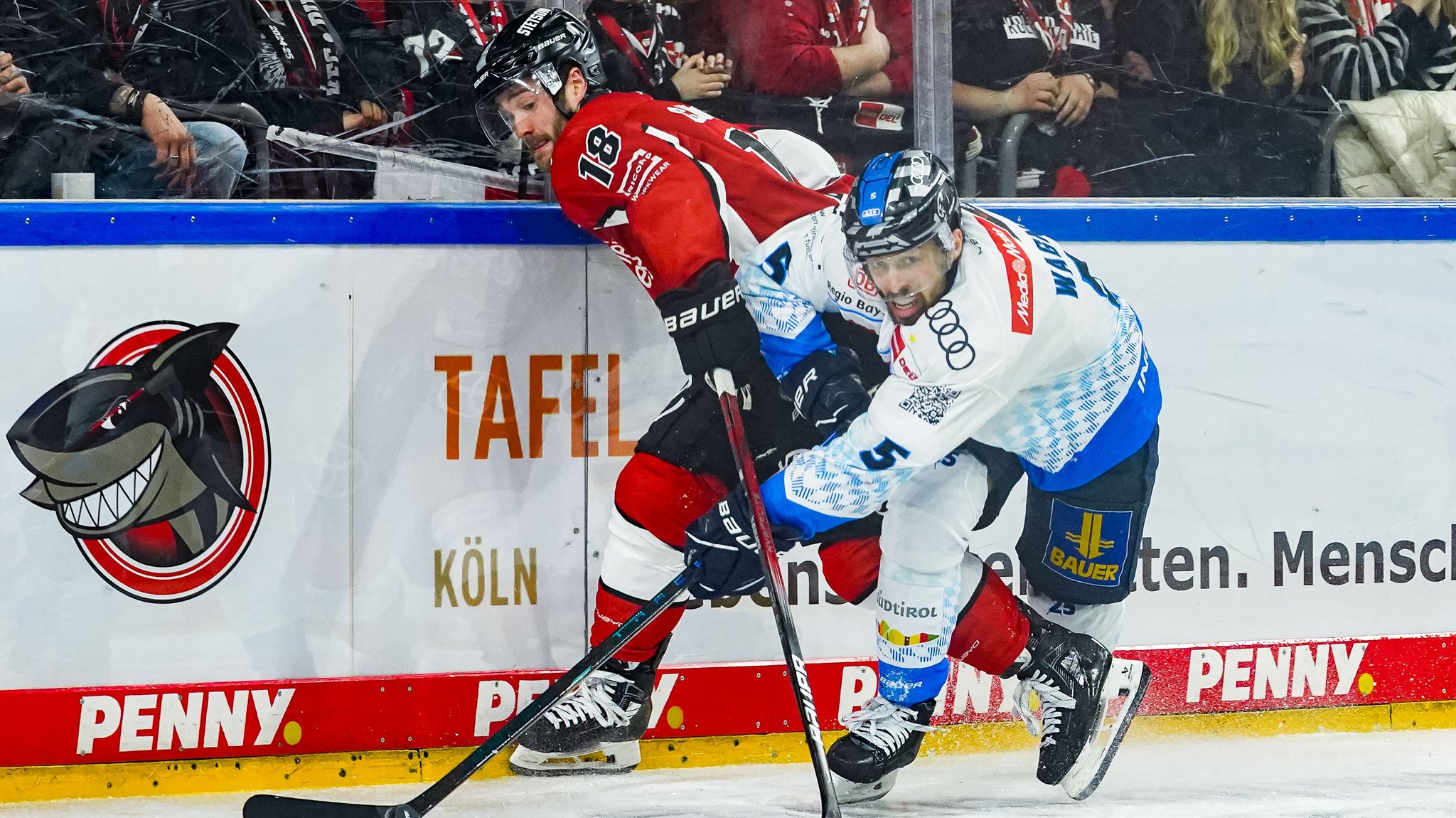 Eishockey-Drama: Panther unterliegen Köln in der Overtime 