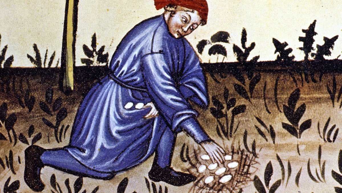 Im Mittelalter gab es die Zinseier: Eier waren Zahlungsmittel.