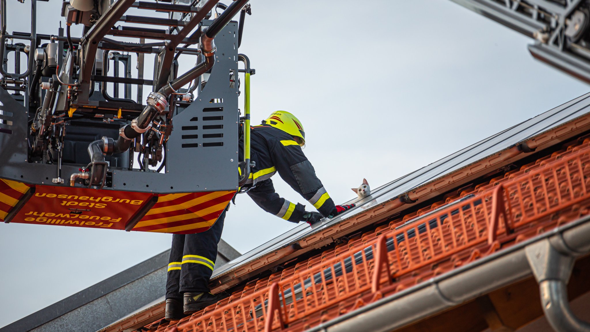 Der Kopf der Katze schaut zwischen den Paneelen hervor, Der Feuerwehrmann  beugt sich über sie und tastet sich an das Kätzlein heran