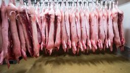 Schweinehälften hängen im Kühlraum eines Zerlegebetriebs.  | Bild:dpa-Bildfunk/Christian Charisius
