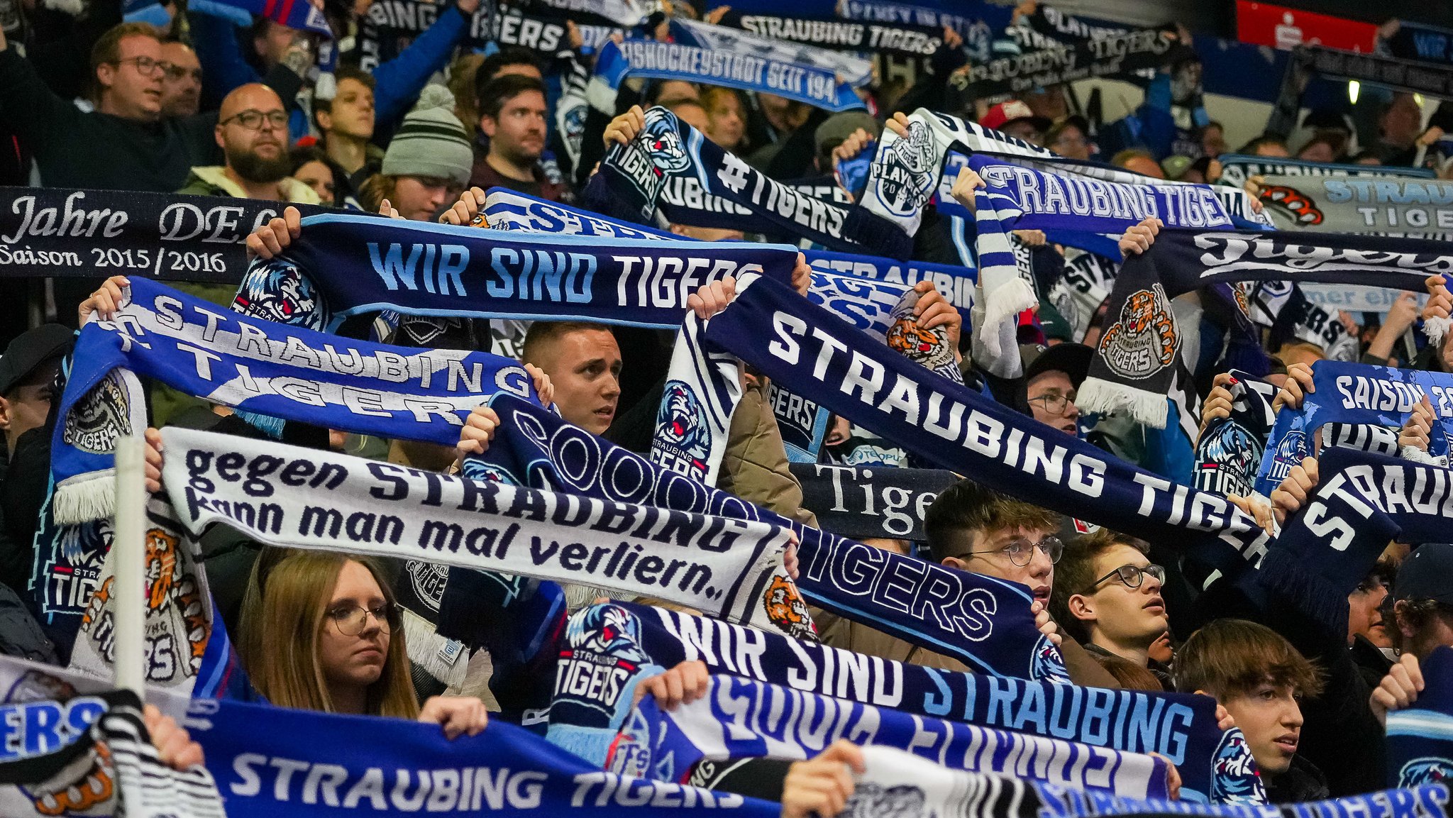 Fans der Straubing Tigers strecken ihre Fanschals nach oben.