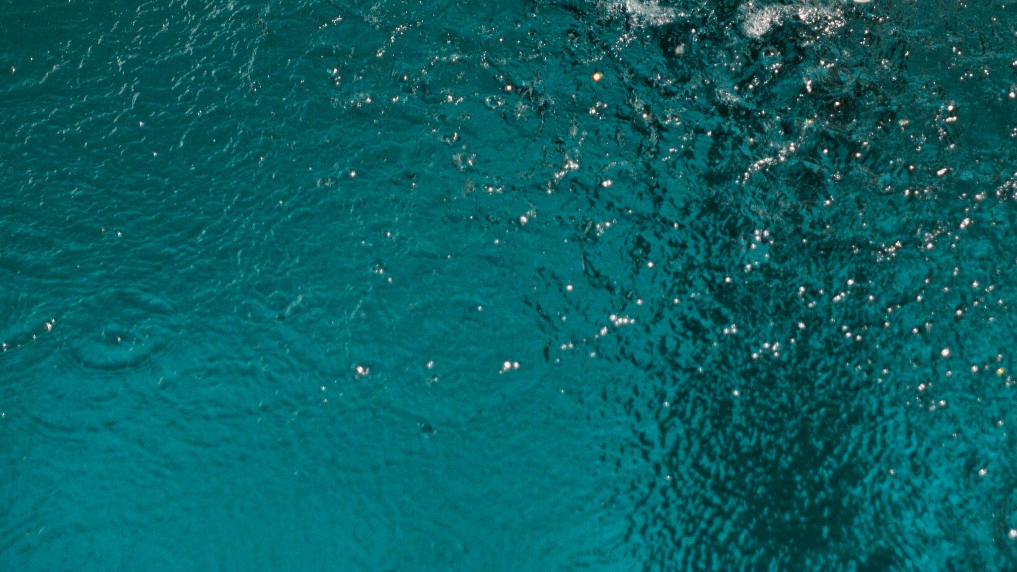 Blick auf eine bewegte Wasseroberfläche in einem Schwimmbadbecken. (Symbolbild)