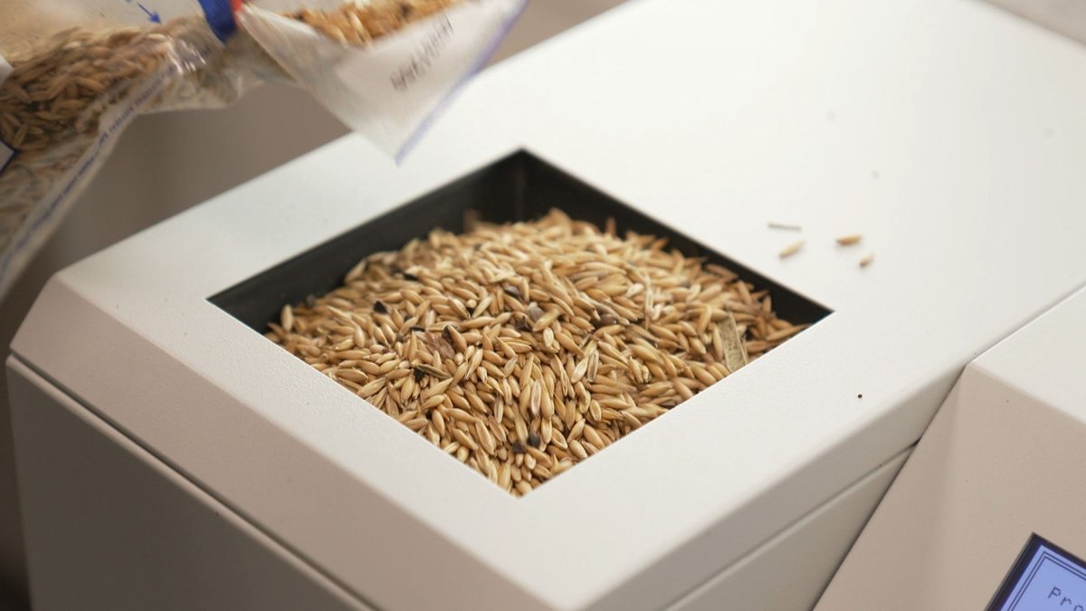 Bio-Getreide richtig lagern: Die Hightech-Mühle von Simbach