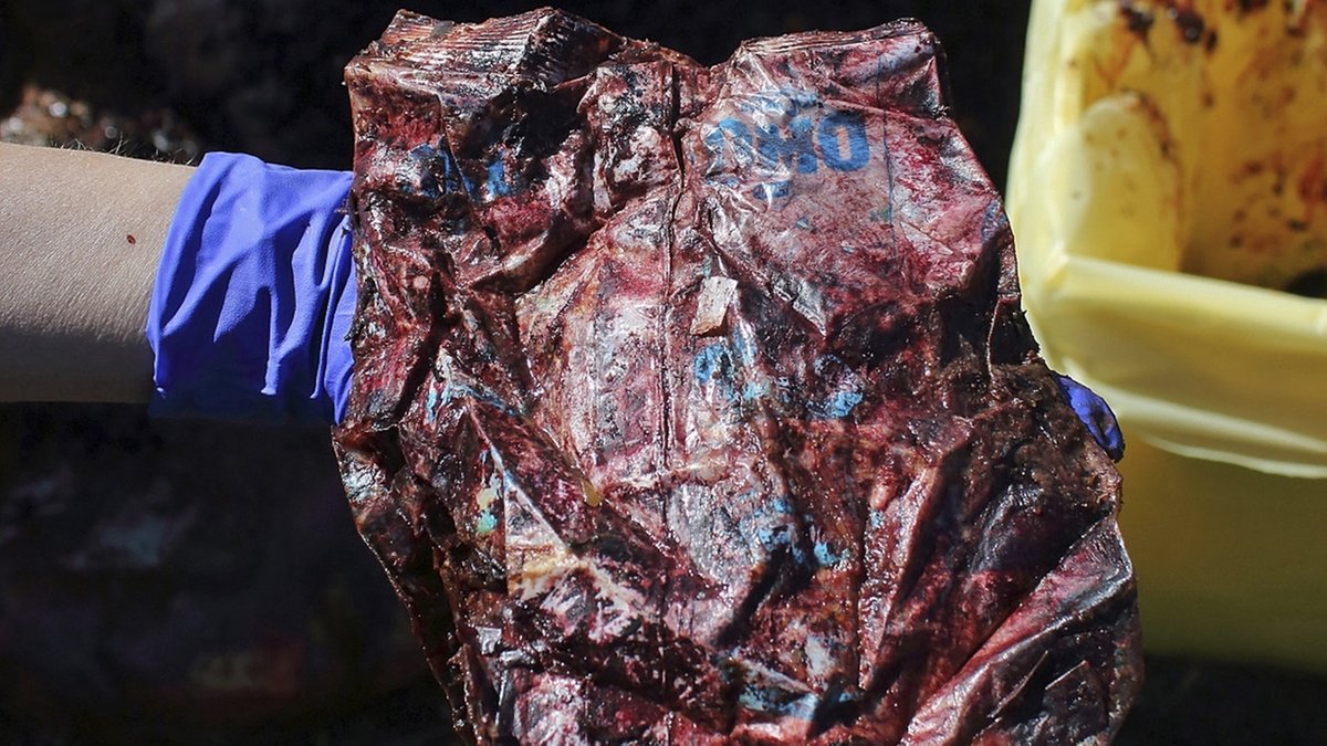 Anfang April ist ein Pottwal vor Sardinien entdeckt worden - mit 22 Kilogramm Plastik im Magen.