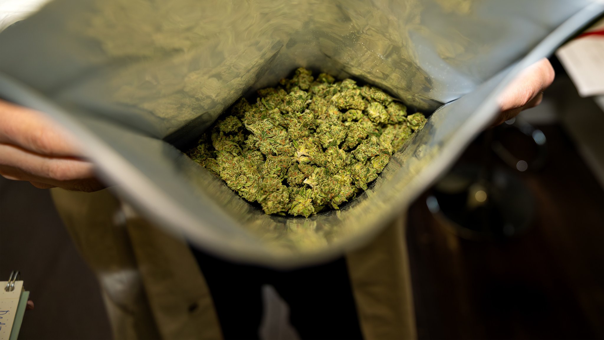 Schärfere Regeln für Cannabis-Rezepte: "Nicht zustimmungsfähig"