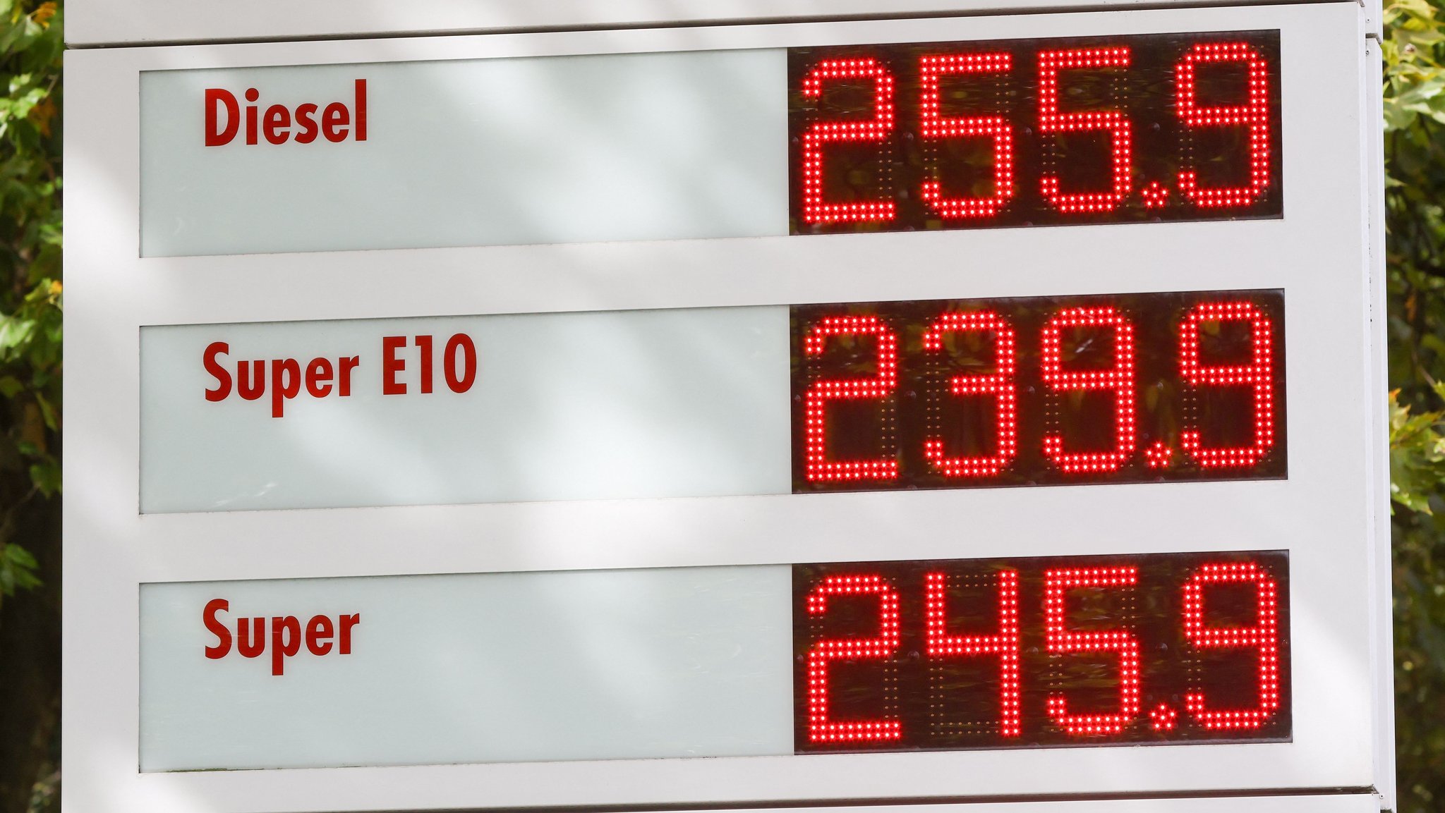 14.09.2026, Hamburg: Auf einem Preisschild an einer Tankstelle werden die aktuellen Preise für Kraftstoffe angezeigt. Foto: Bodo Marks/dpa +++ dpa-Bildfunk +++ | Bild: dpa-Bildfunk/Bodo Marks 14.09.2026, Hamburg: Auf einem Preisschild an einer Tankstelle werden die aktuellen Preise für Kraftstoffe angezeigt. Foto: Bodo Marks/dpa +++ dpa-Bildfunk +++