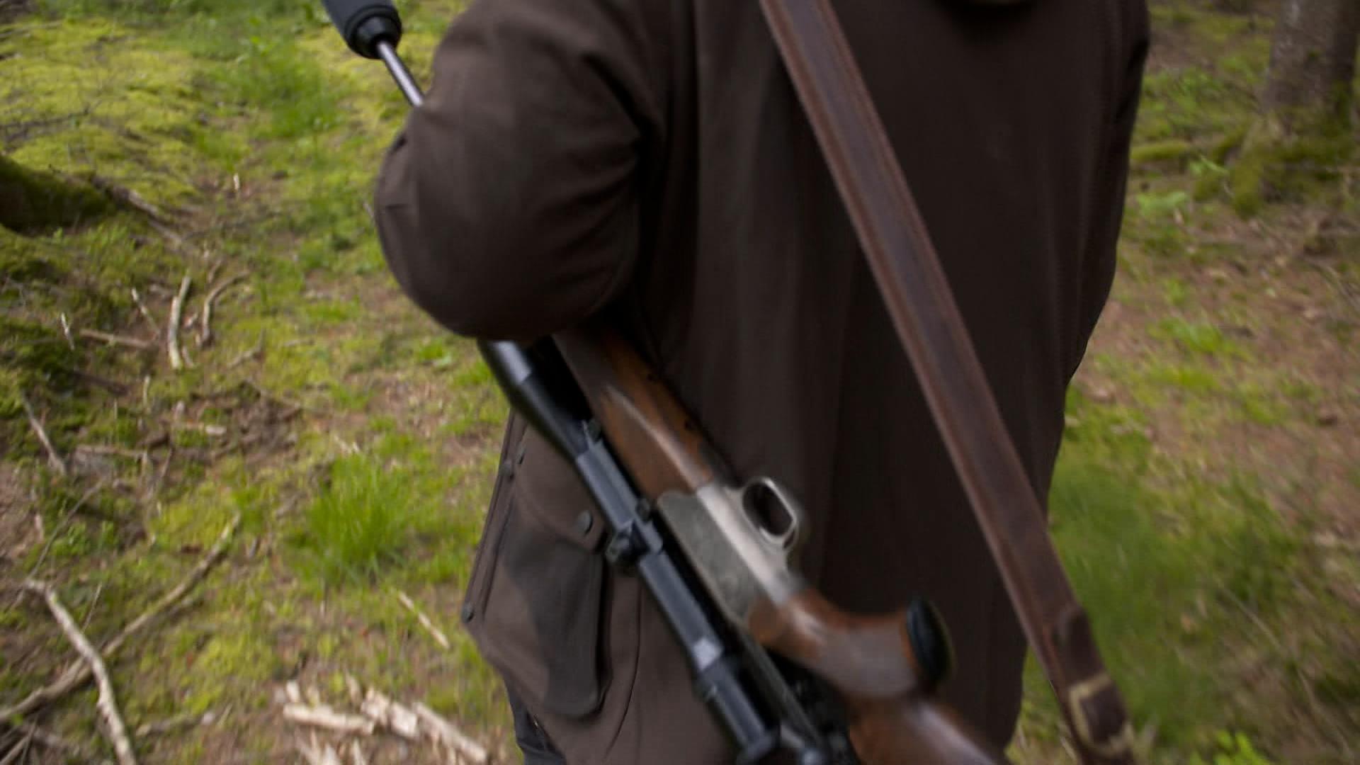 Seit einigen Monaten herrscht Streit in der Staatsregierung: Minister Aiwanger sollte ein neues Jagdgesetz vorlegen!