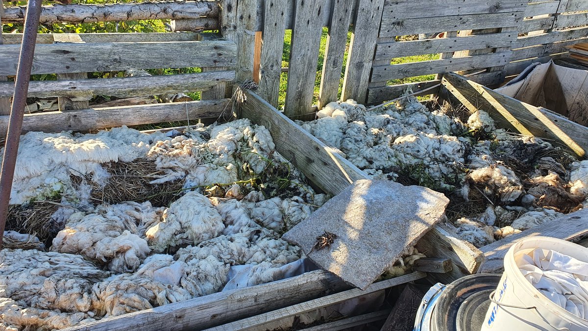 Schafswolle schützt die Komposthaufen vor dem Austrocknen