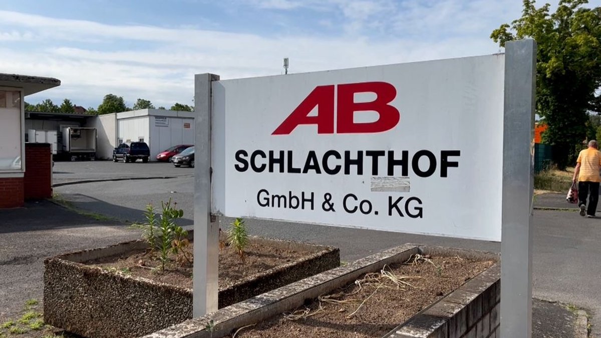 Verdacht auf Tierquälerei: Schlachthof Aschaffenburg untersucht