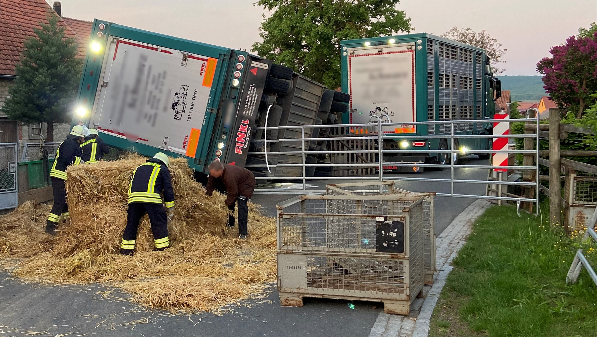 Anzeige gegen Tiertransporter wegen toter Schweine in Iphofen