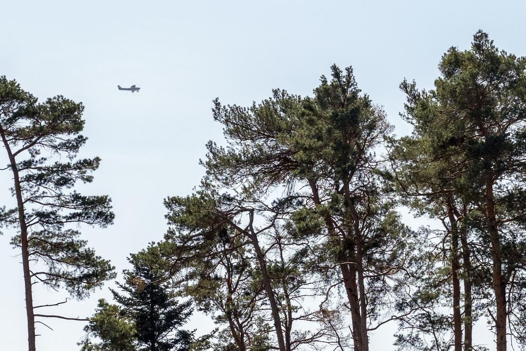 Archivbild von 2024: Luftbeobachtungsflug über einem Wald