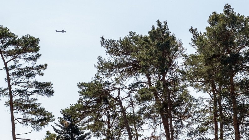 Archivbild von 2024: Luftbeobachtungsflug über einem Wald | Bild: dpa-Bildfunk/Pia Bayer Archivbild von 2024: Luftbeobachtungsflug über einem Wald
