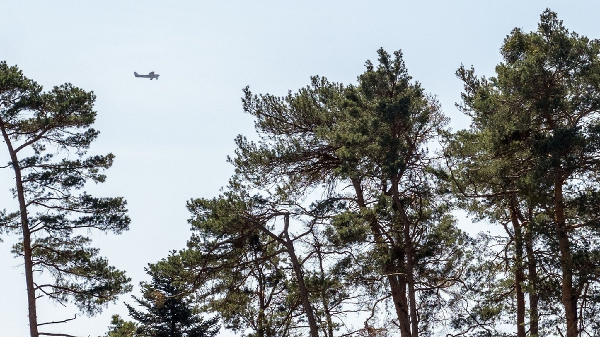 Trockenes Frühjahr: Wo in Bayern die Waldbrandgefahr steigt