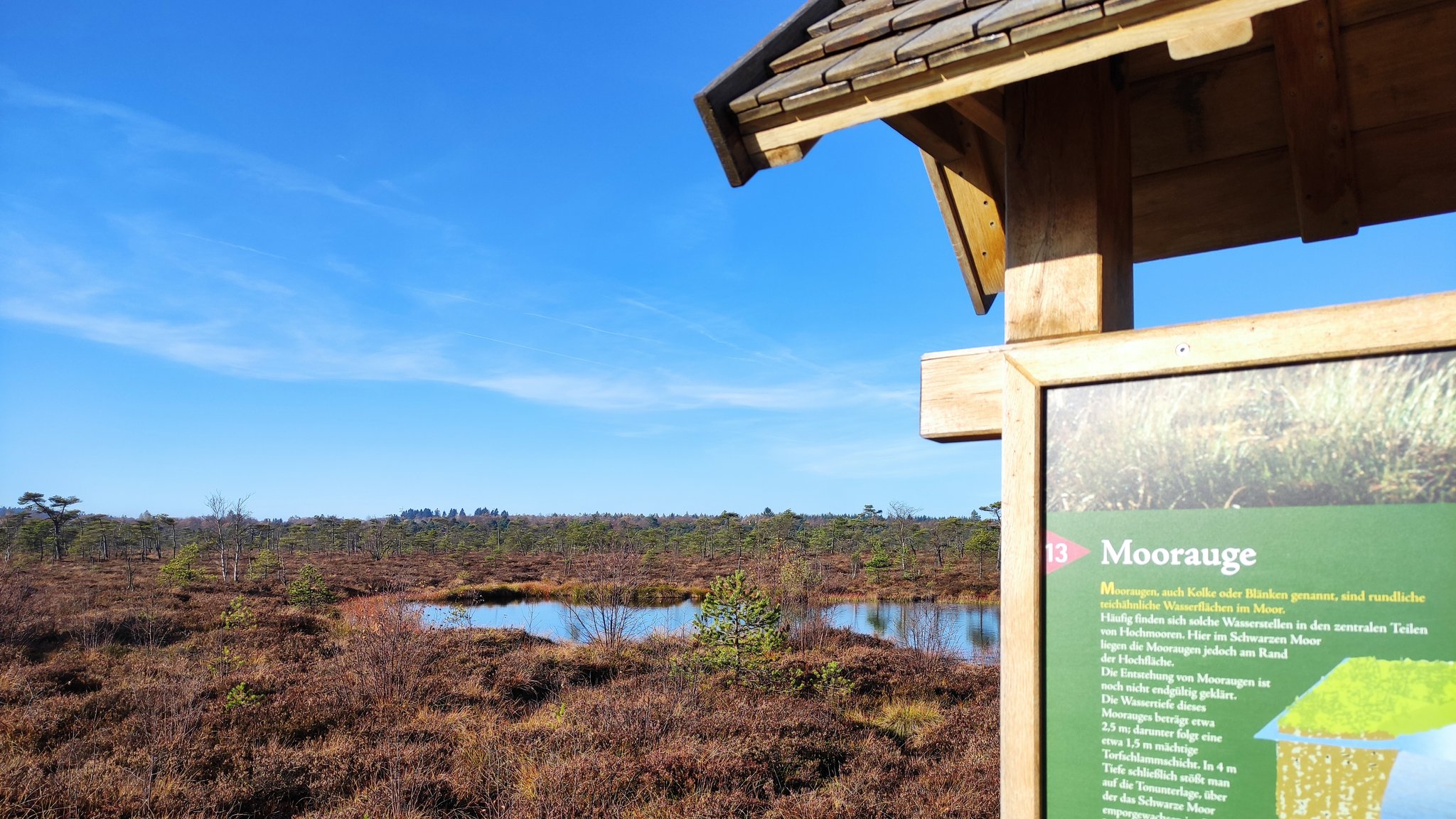 Blick vom Bohlensteg ins Schwarze Moor