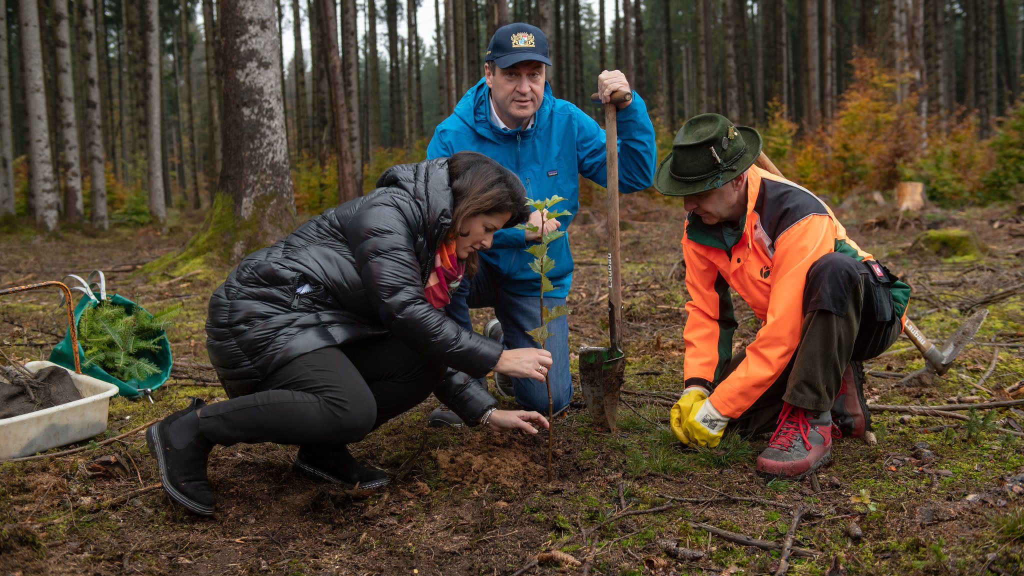 Landwirtschaftsministerin Kaniber (l.), Ministerpräsident Söder (M.) und Forstwirtschaftsmeister Thun (r.) bei symbolischer Baum-Pflanzung.