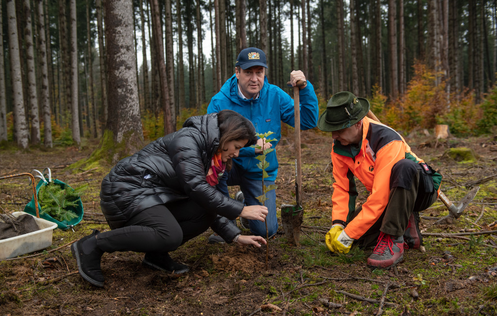 Landwirtschaftsministerin Kaniber (l.), Ministerpräsident Söder (M.) und Forstwirtschaftsmeister Thun (r.) bei symbolischer Baum-Pflanzung.