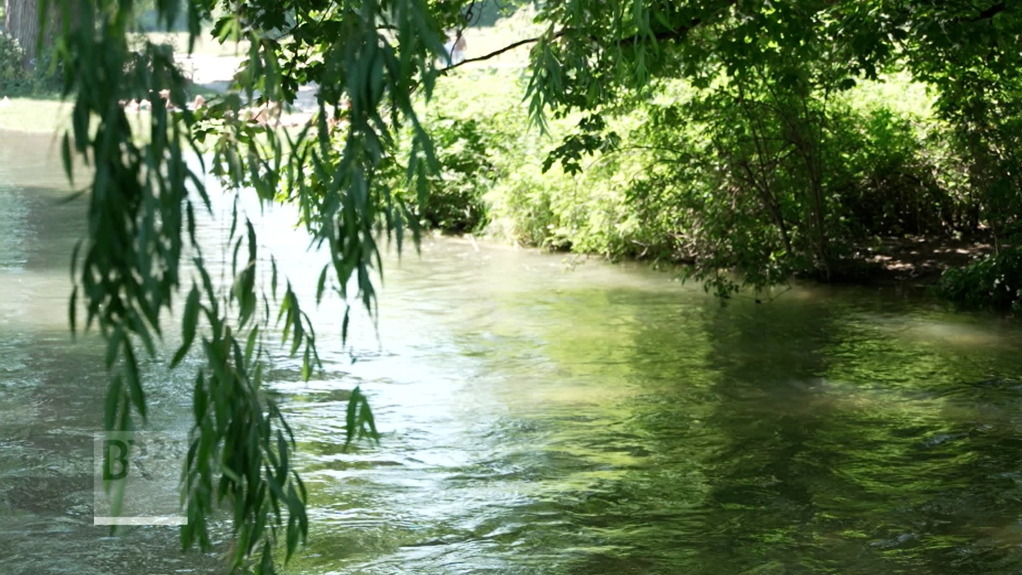 Ein Baum neigt sich über einen Fluss. | Bild: BR Ein Baum neigt sich über einen Fluss.