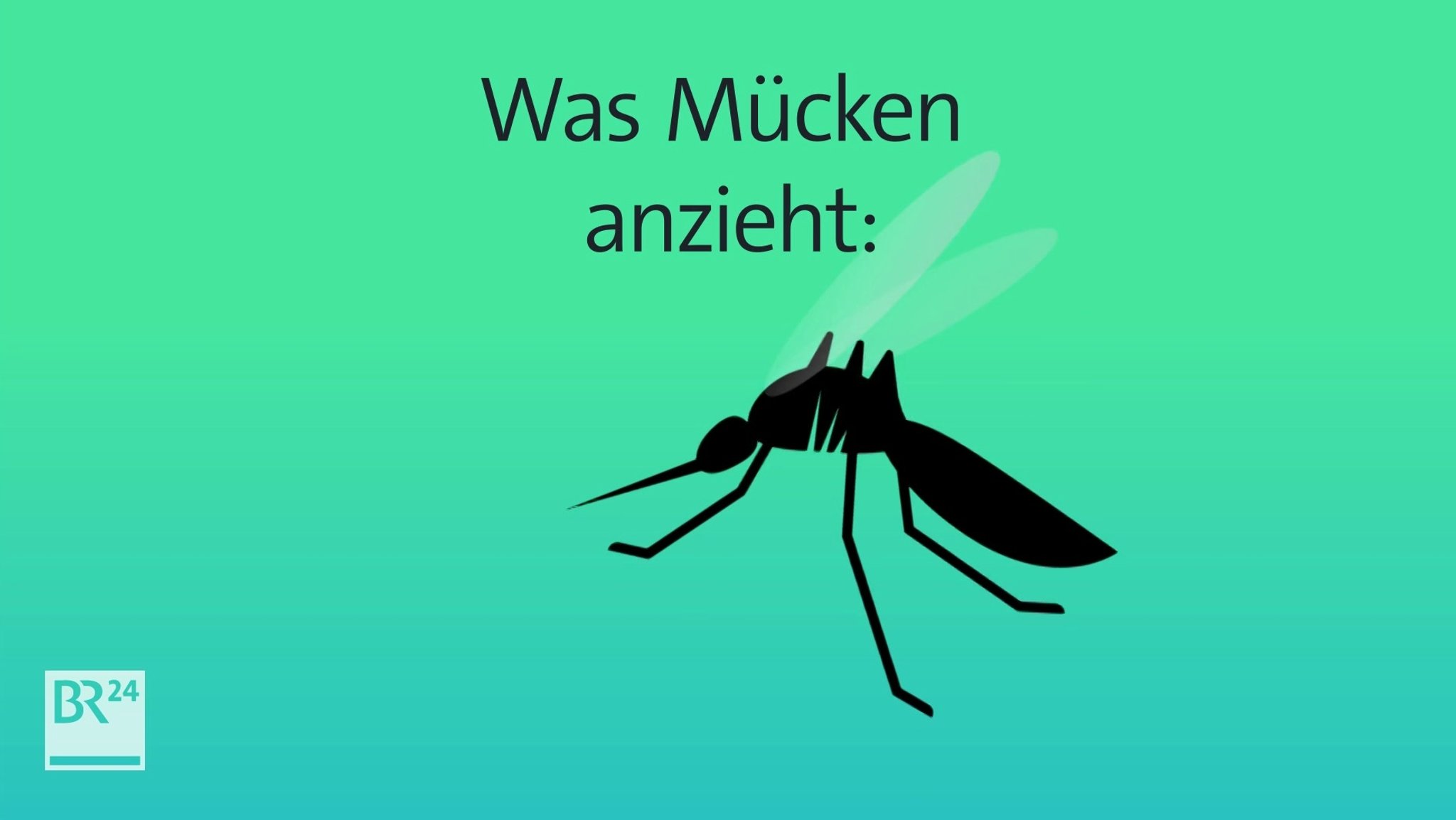 Was Mücken anzieht