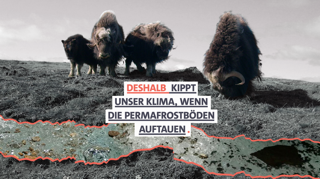 Deshalb kippt unser Klima, wenn die Permafrostböden auftauen. | Bild: BR Deshalb kippt unser Klima, wenn die Permafrostböden auftauen.