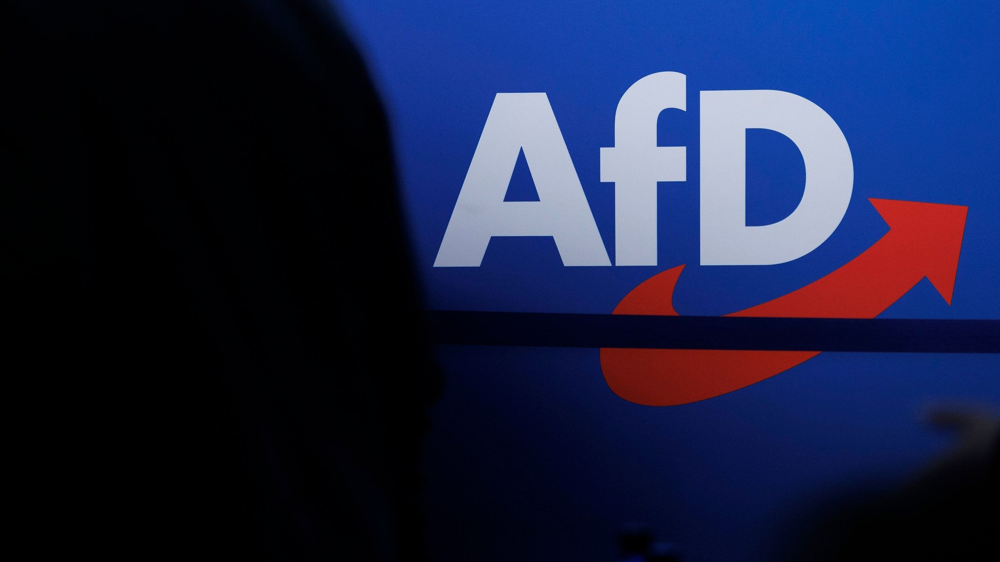 AfD-Logo (Symbolbild)