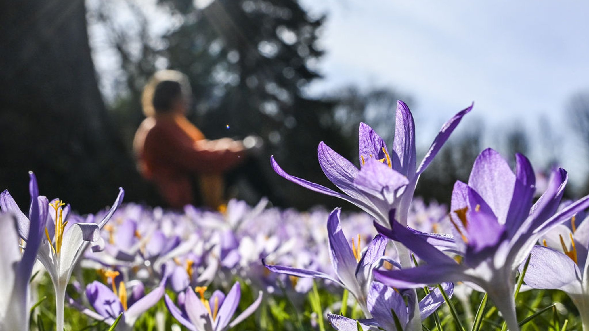 Wetterumschwung erwartet: Auf sonniges Wochenende folgt Regen