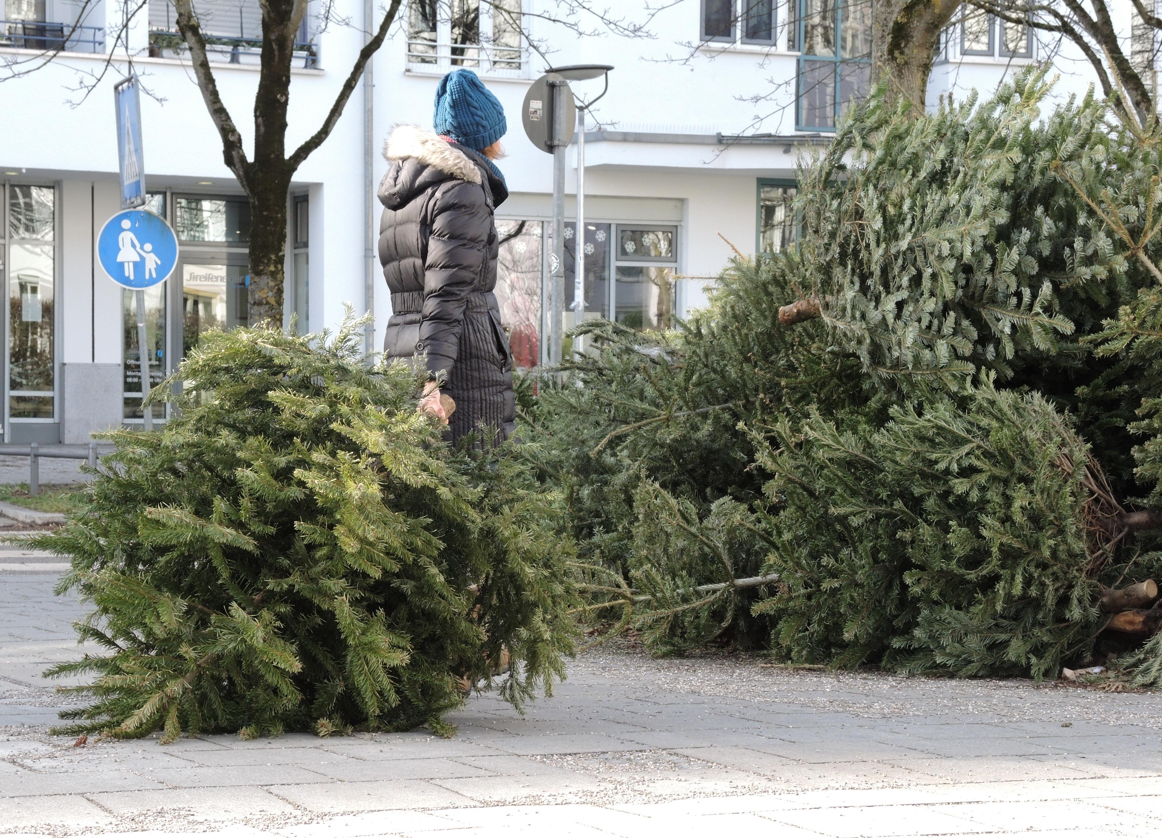 Weihnachtsbaum Entsorgen: Wo, Wann, Wie Und Weitere Tipps | BR24