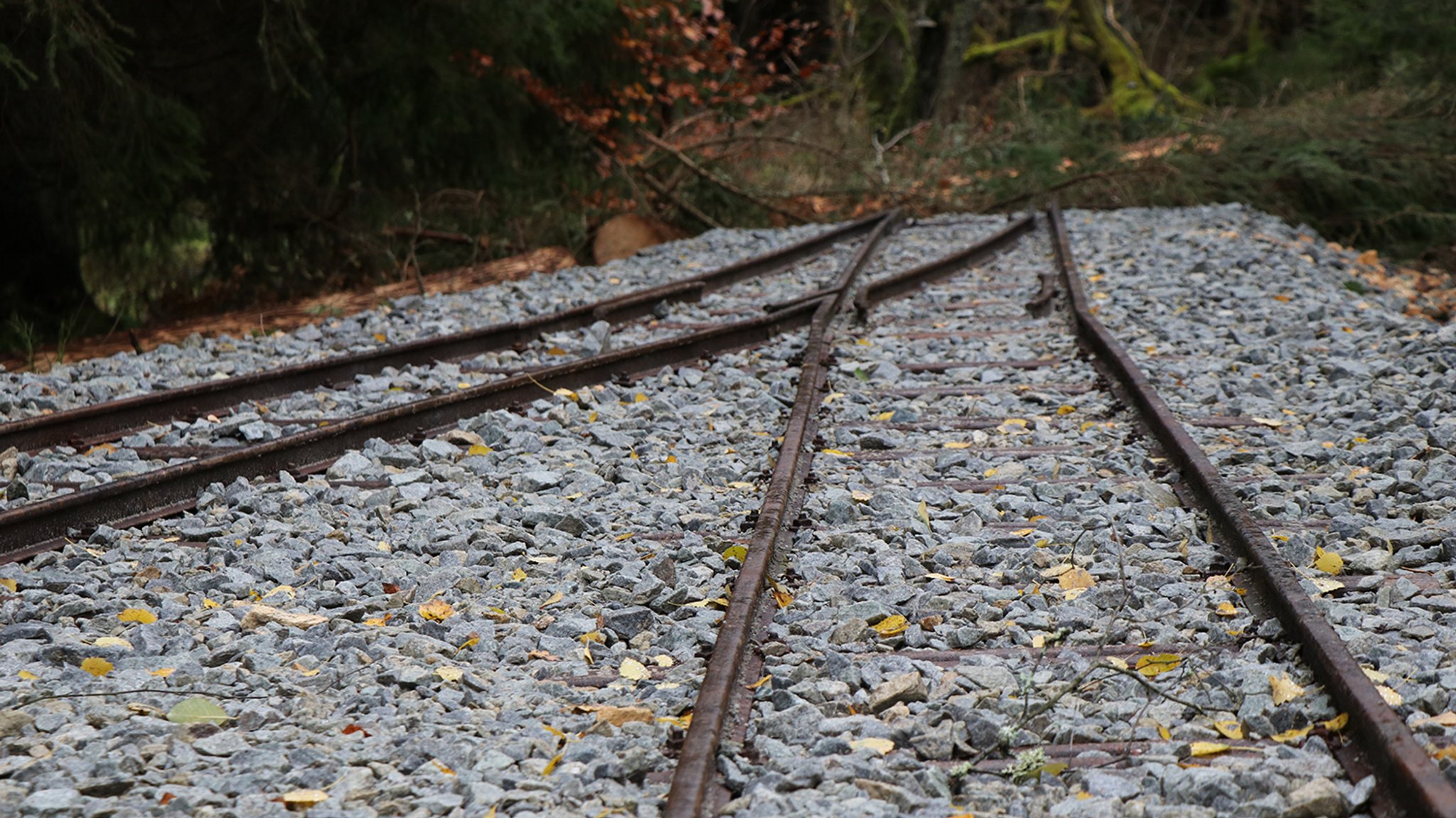 Das letzte Teilstück der historischen Waldbahn im Reschbachtal