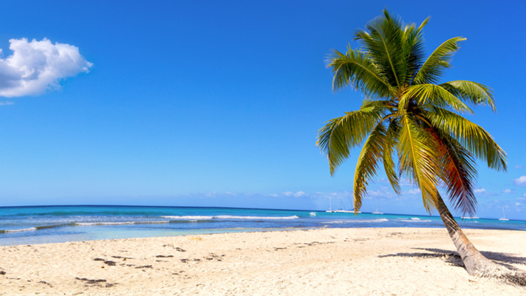 Sandstrand mit einer Palme (Symbolbild)
