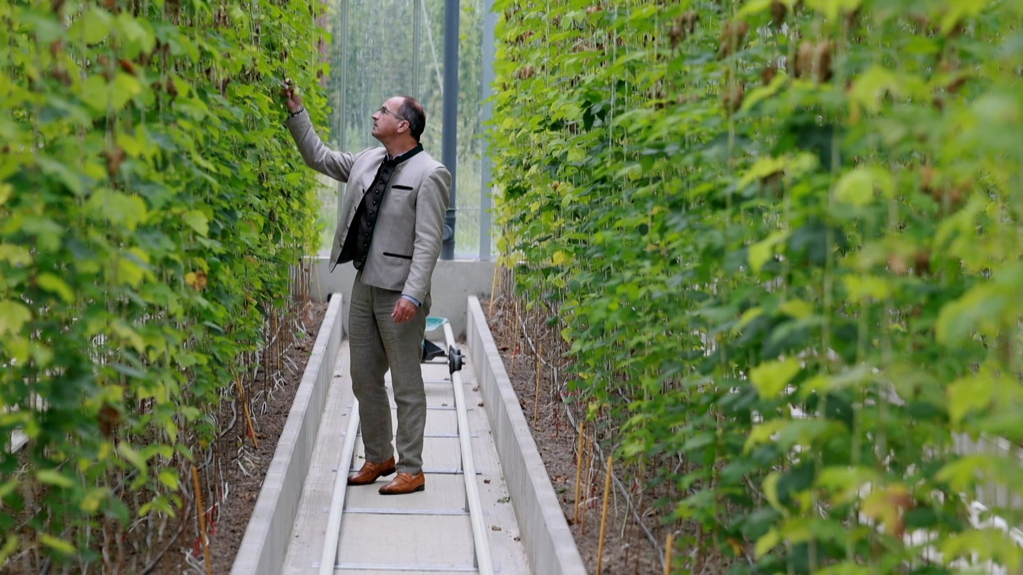 Landwirt betrachtet Ernte. | Bild: Bayerischer Rundfunk 2026 Landwirt betrachtet Ernte.