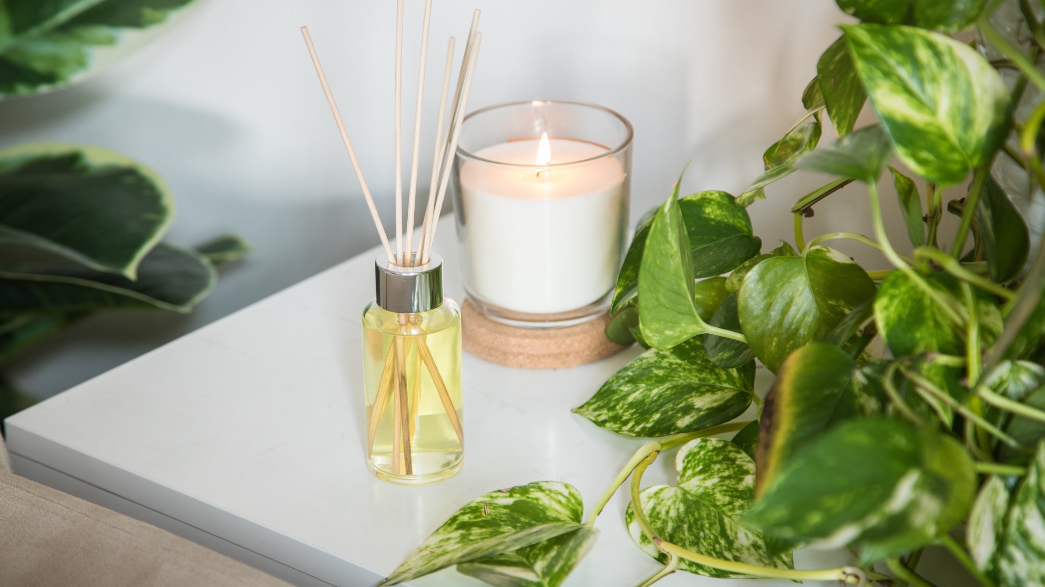 Frische Brise: Raumdüfte – wohltuend oder gefährlich?