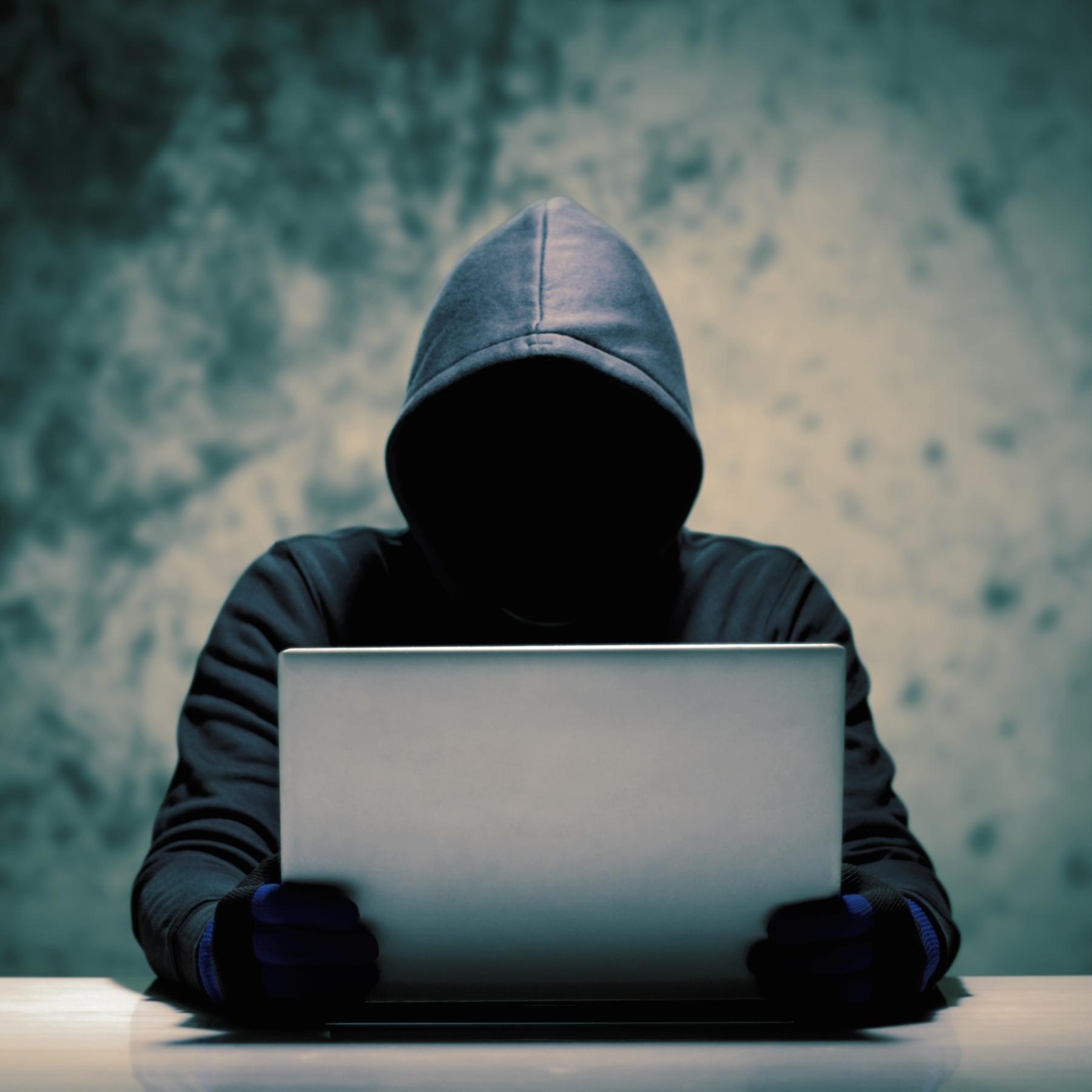 Der Feind im Netz - So bedrohen Hacker unser Gemeinwesen