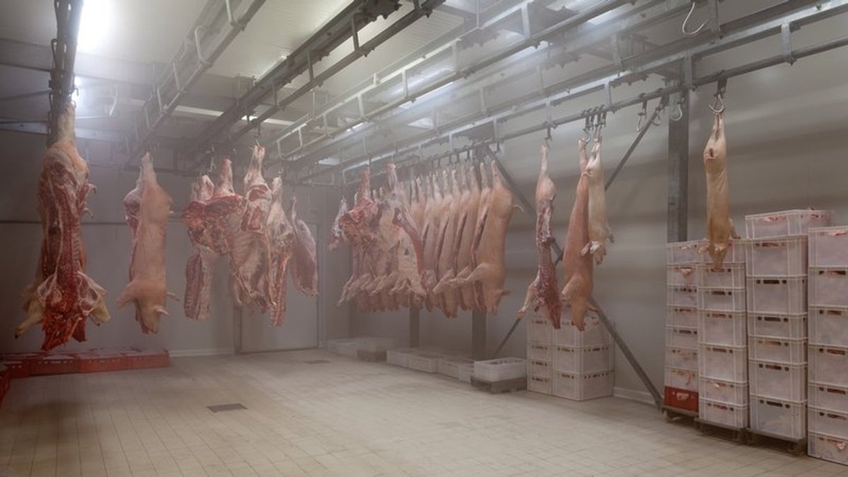 Schweinehälften hängen im Kühlraum eines Schlachthofes (Symbolbild) 