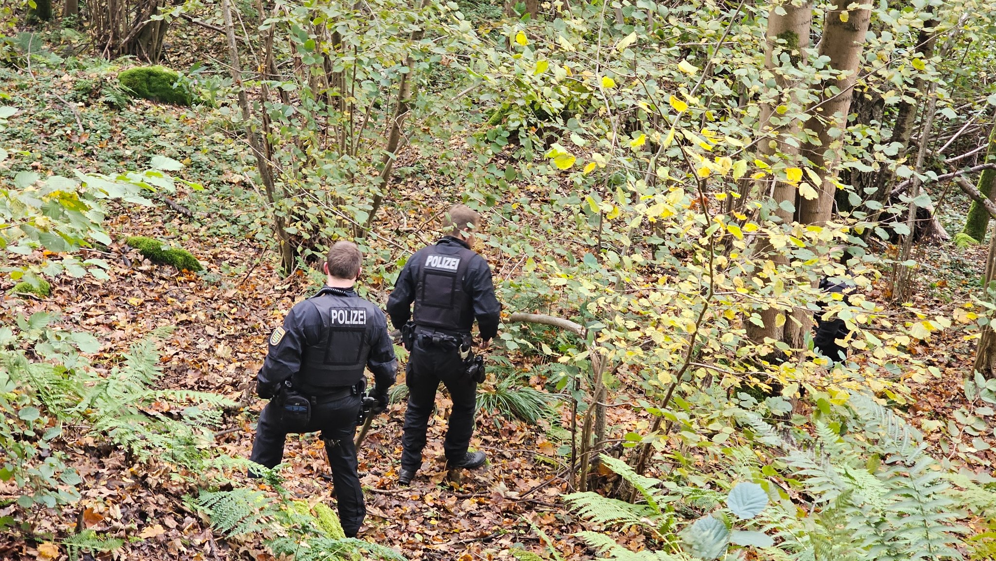 Polizisten suchen ein Waldstück ab