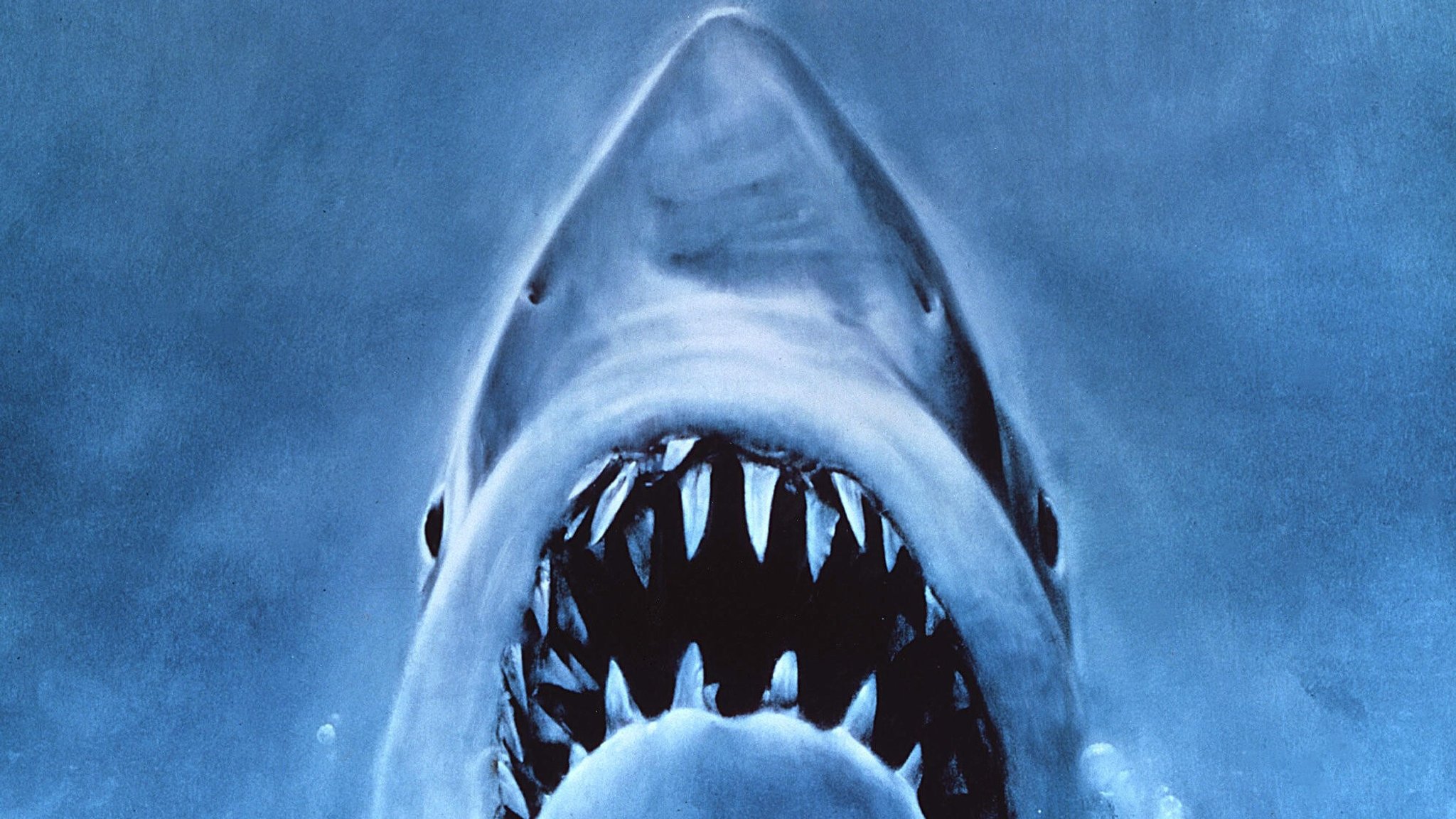 Das ikonische Poster-Artwork von Steven Spielbergs "Der weiße Hai"