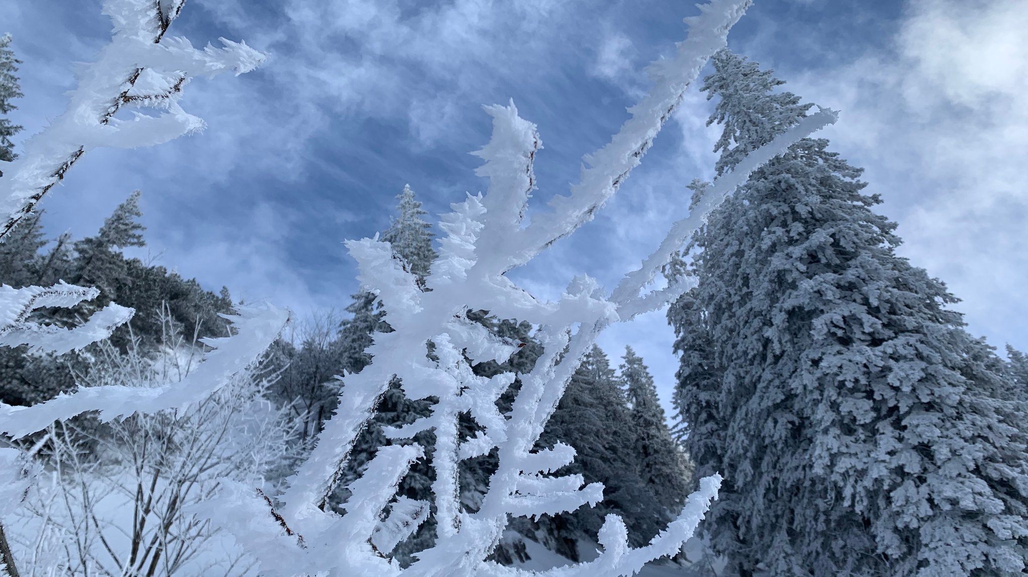 Winter in den Alpen, wie hier an der Brecherspitze oberhalb vom Schliersee. 