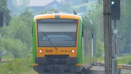 Zug auf der Strecke Viechtach-Gotteszell (Archivbild) | Bild:Bayerischer Rundfunk 2018