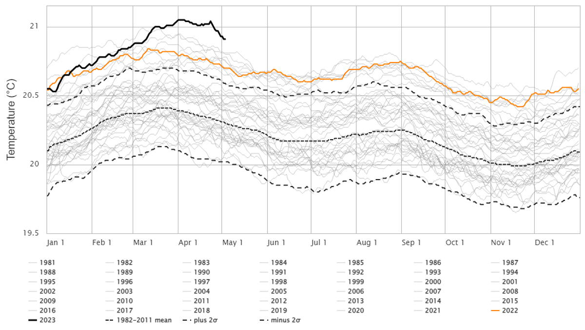 Grafik der jährlichen Temperaturverläufe der Oberflächentemperatur der Ozeane