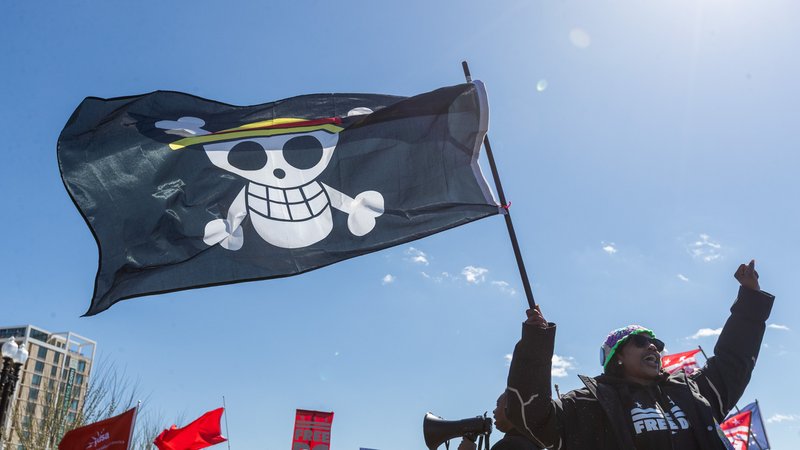Bei den No-Kings-Protesten hält eine Demonstrantin die Fahne der Strohhutbande | Bild: picture alliance / ZUMAPRESS.com | Hunter Cone Bei den No-Kings-Protesten hält eine Demonstrantin die Fahne der Strohhutbande