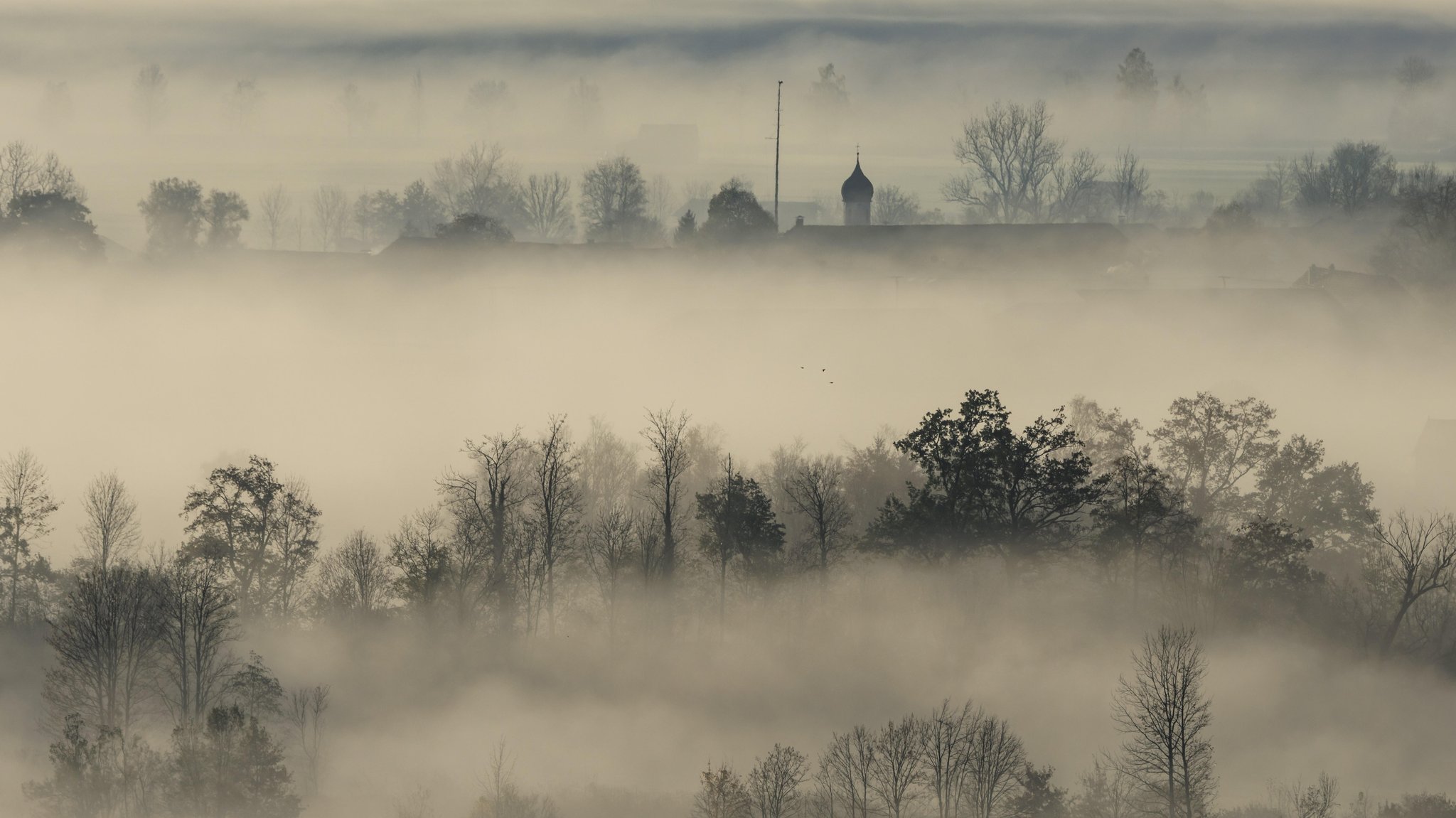 Seltenes Phänomen: "Methusalem-Hoch" taucht Südbayern in Nebel