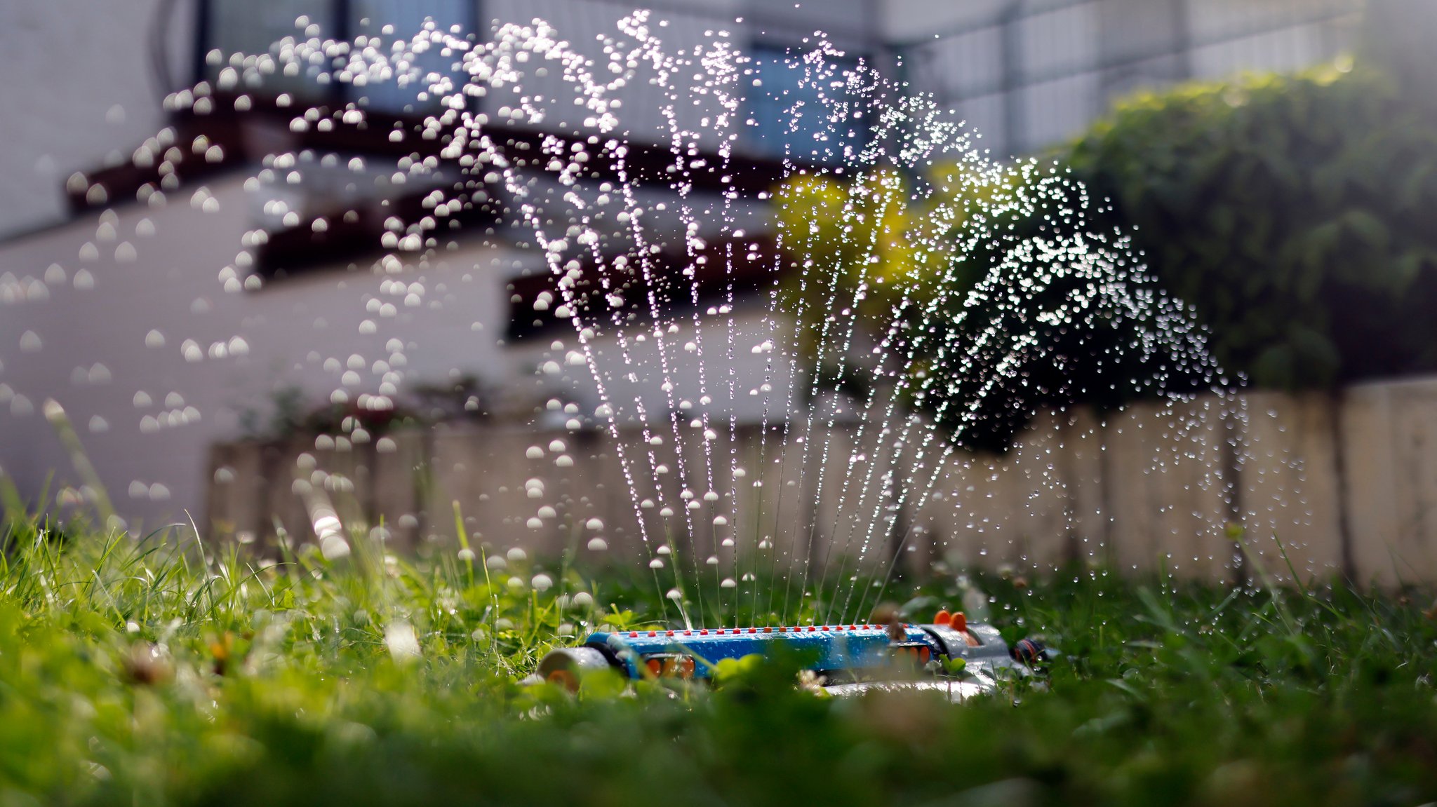 Wenn das Wasser weniger wird: Was jeder Einzelne tun kann