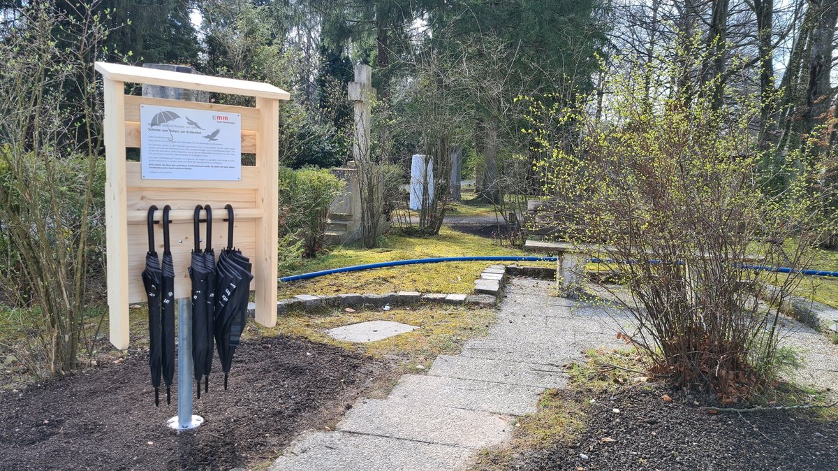 Unzählige Krähen verschmutzen regelmäßig den Friedhof in Memmingen, deshalb bekommen Besucher jetzt Schirme zur Verfügung gestellt.