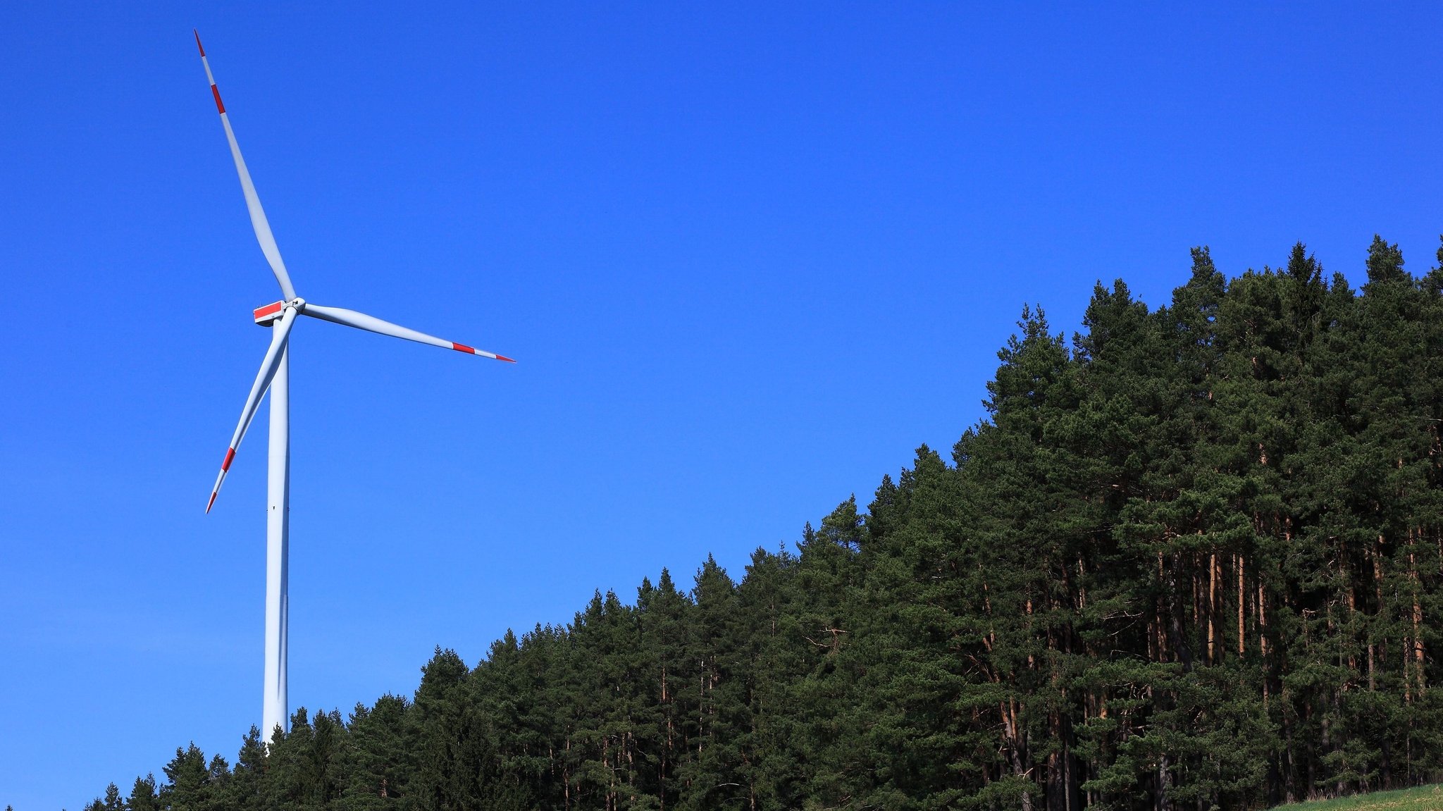 Wie sinnvoll ist Windkraft im Wald?