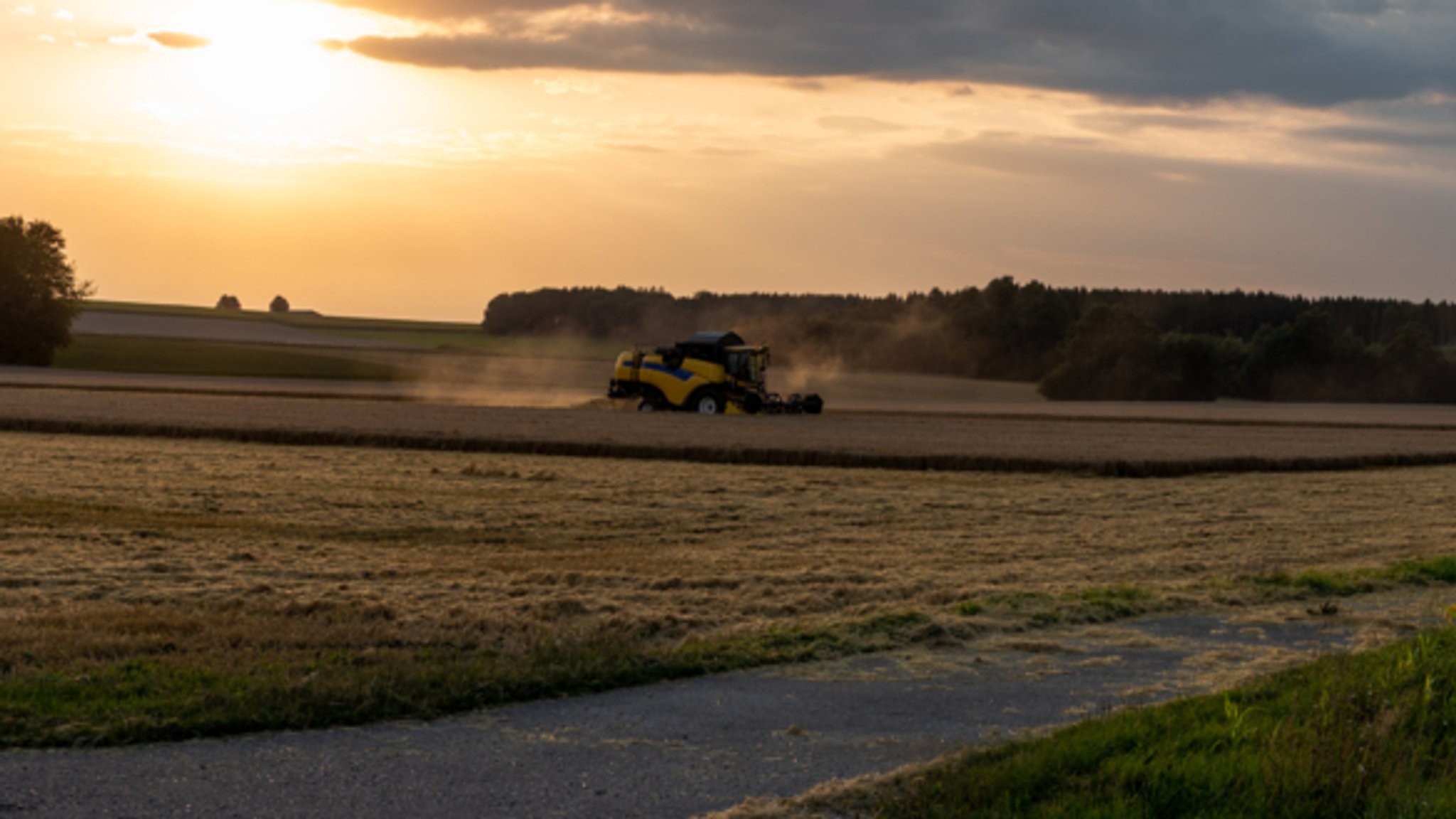 Mähdrescher auf einem Feld im Abendlicht.