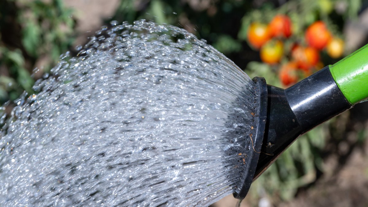 Trockenheit und Hitze: Landkreise rufen zum Wassersparen auf