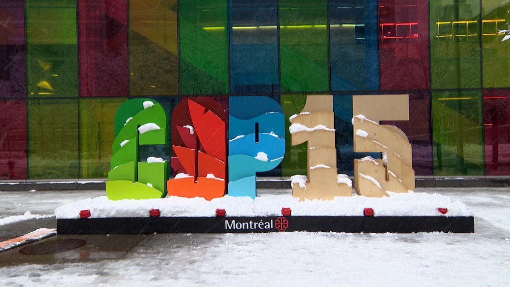 Ob die Vereinbarungen der Weltnaturkonferenz im kanadischen Montreal eingehalten werden - viele Naturschutzverbände sind skeptisch. | Bild: BR Ob die Vereinbarungen der Weltnaturkonferenz im kanadischen Montreal eingehalten werden - viele Naturschutzverbände sind skeptisch.