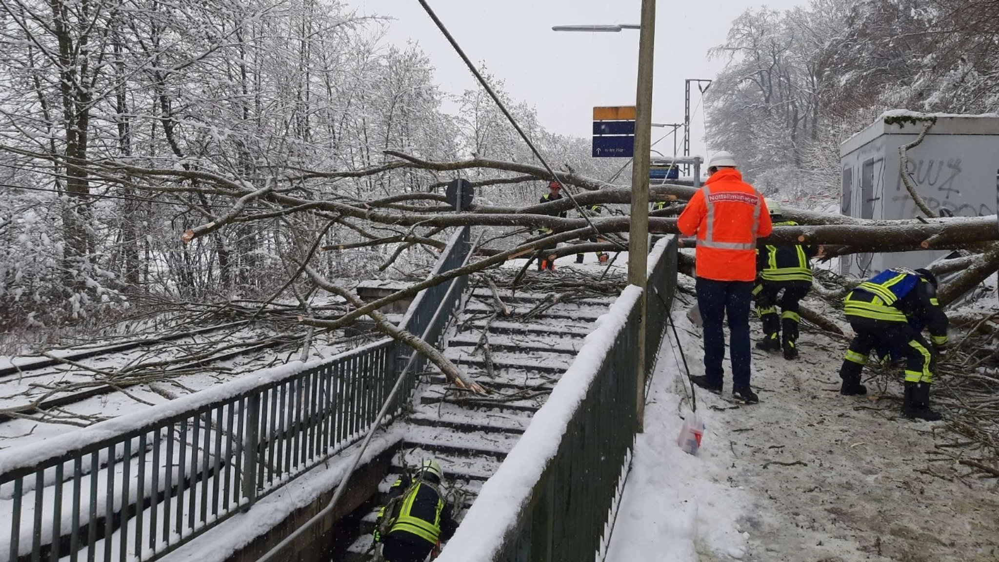 Ein umstürzender Baum riss in St. Koloman (Lkr. Erding) die Oberleitung der S-Bahn mit sich