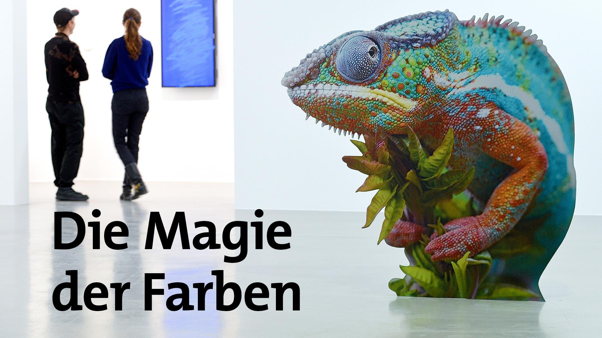 Spurensuche durch die Geschichte der Farben : Die Magie der Farben