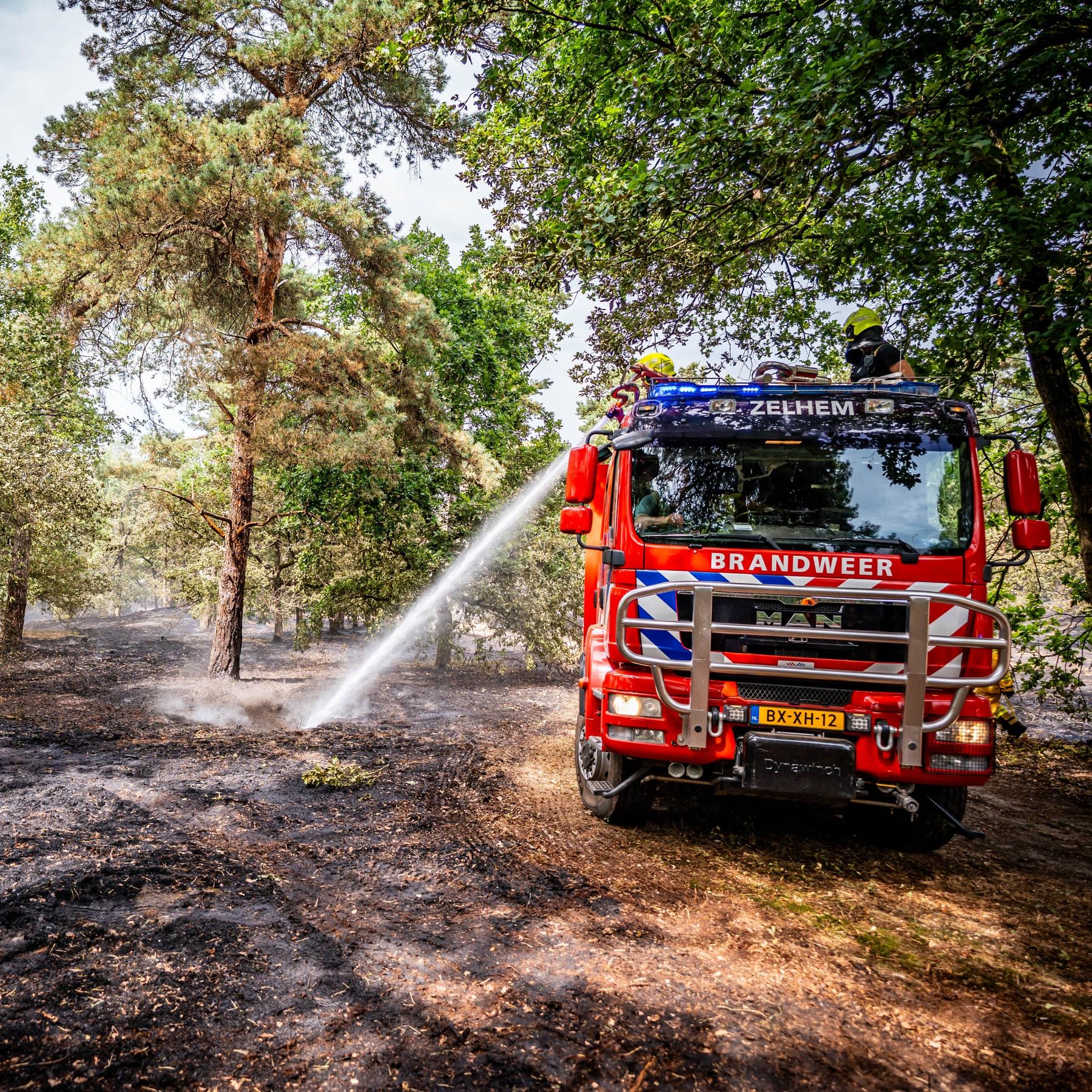 Stefan Brust zur Waldbrandgefahr in Bayern